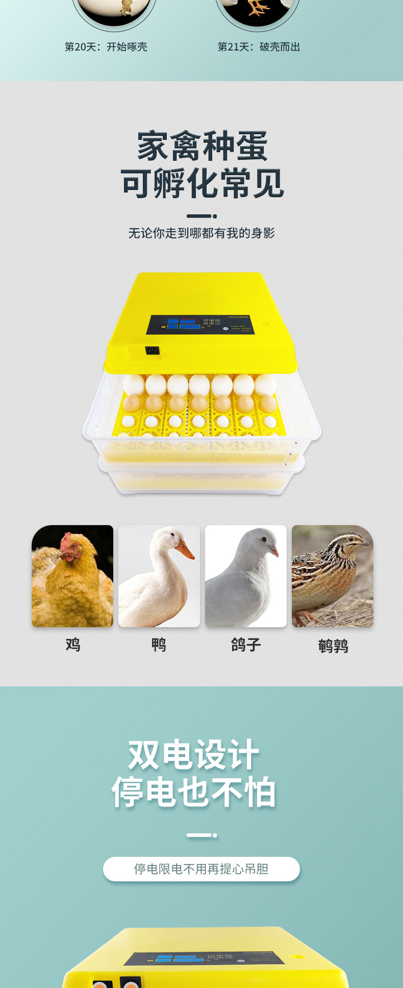 全自动孵化器智能家用孵化机水床孵化箱鸡鸭鹅鸽子鸟卵蛋器孵蛋器