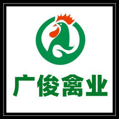 狮头鹅苗_土鸡苗_黑瑶鸡苗_西洋鸭苗