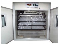 孵化器 山鸡孵化器 四川全自动孵化器 孵化器价格 泰山孵化
