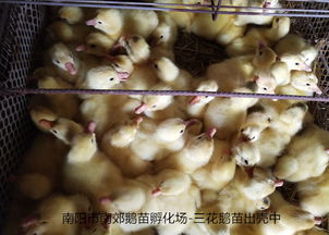 农业