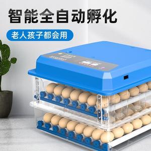 孵小鸡的孵化器