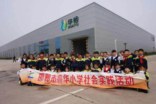 农业知识与智慧 从花生的生长到麦苗韭菜的辨识，代表建议与家禽孵化的启示